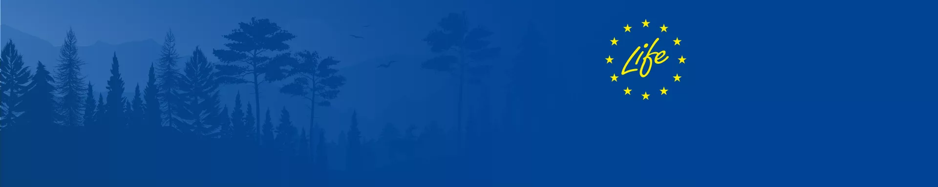LIFE banner